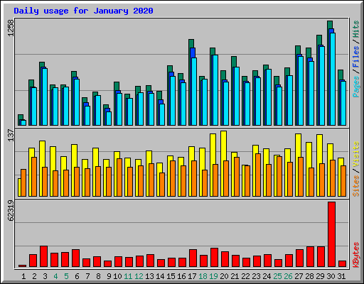 Daily usage for January 2020