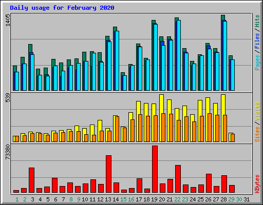 Daily usage for February 2020