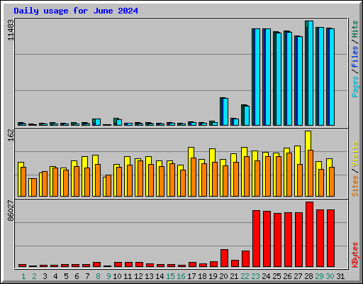 Daily usage for June 2024