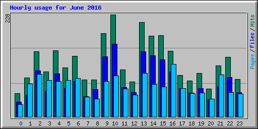 Hourly usage for June 2016