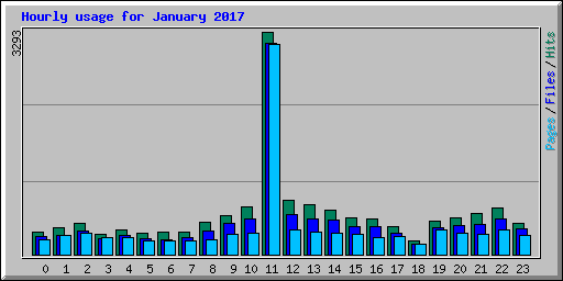 Hourly usage for January 2017