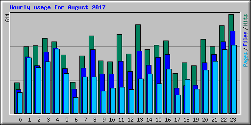 Hourly usage for August 2017