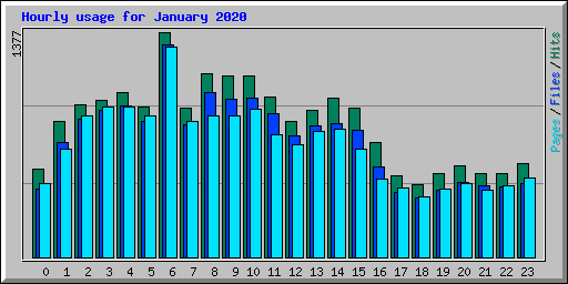 Hourly usage for January 2020