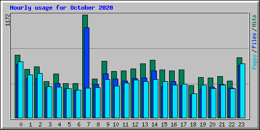 Hourly usage for October 2020