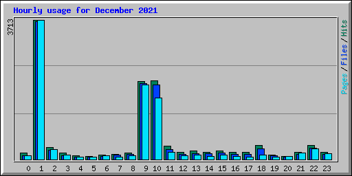 Hourly usage for December 2021