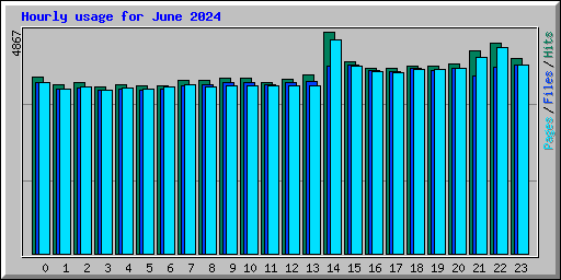 Hourly usage for June 2024