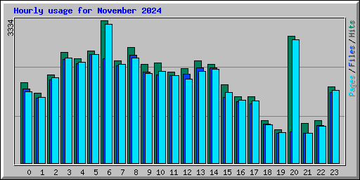 Hourly usage for November 2024