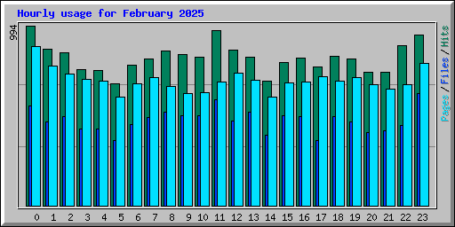 Hourly usage for February 2025