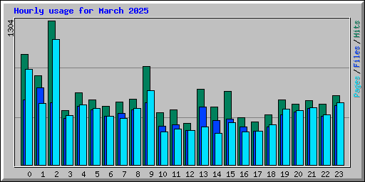 Hourly usage for March 2025