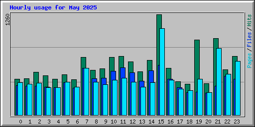 Hourly usage for May 2025