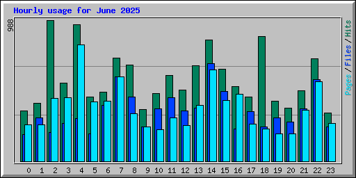 Hourly usage for June 2025
