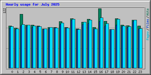 Hourly usage for July 2025